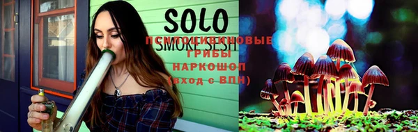 шишки Няндома