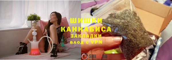 шишки Няндома