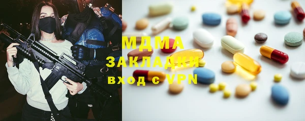 шишки Няндома