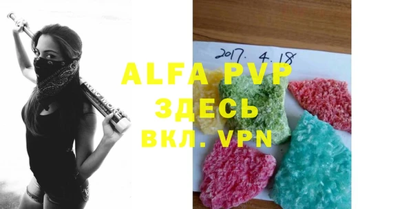 шишки Няндома