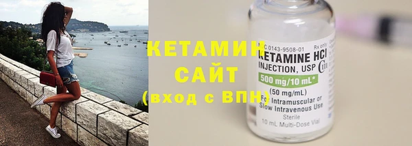 шишки Няндома