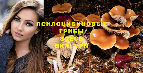a pvp Осташков