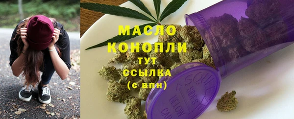 шишки Няндома