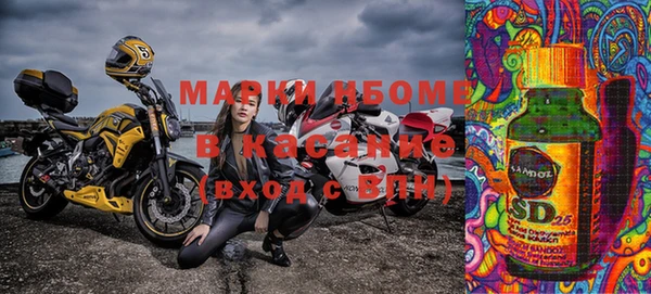 шишки Няндома