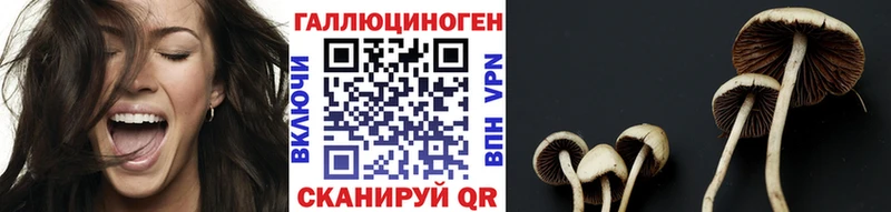 Псилоцибиновые грибы GOLDEN TEACHER  Порхов 